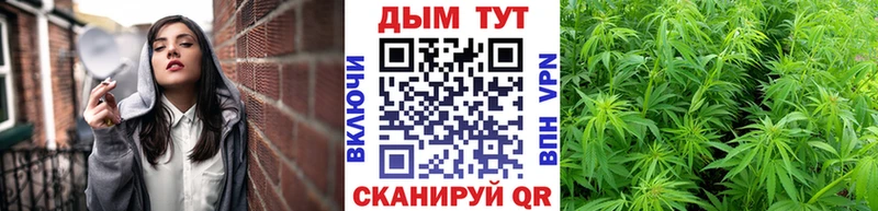 Наркотические вещества Яхрома Каннабис  АМФЕТАМИН  COCAIN  Alpha PVP  Гашиш  Меф 