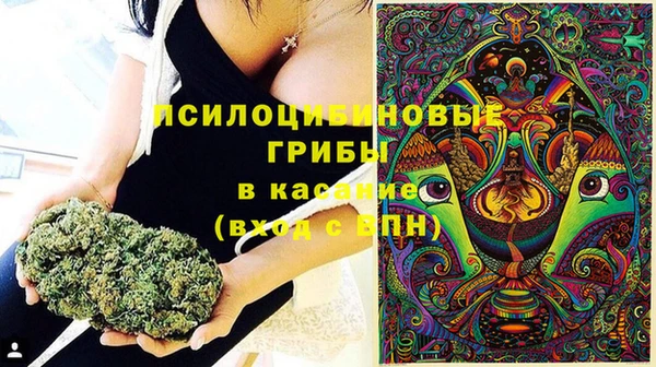 стаф Алзамай