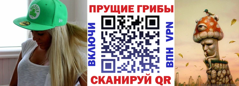 МЕГА зеркало  Яхрома  Псилоцибиновые грибы Cubensis  сколько стоит 